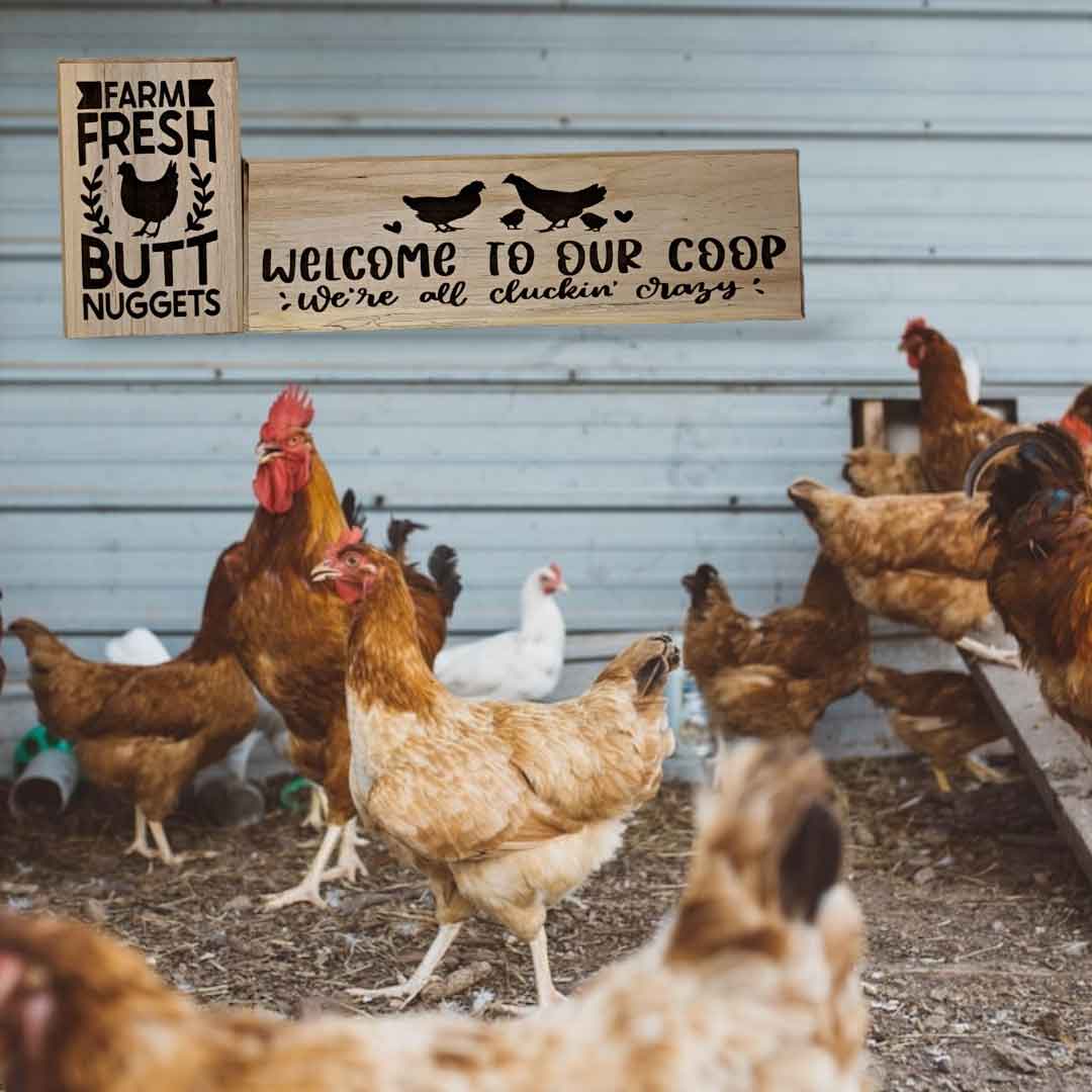 Cooking Chicken Signs Rustic Chicken Lover's Set | Farmhouse Kitchen Signs | 19